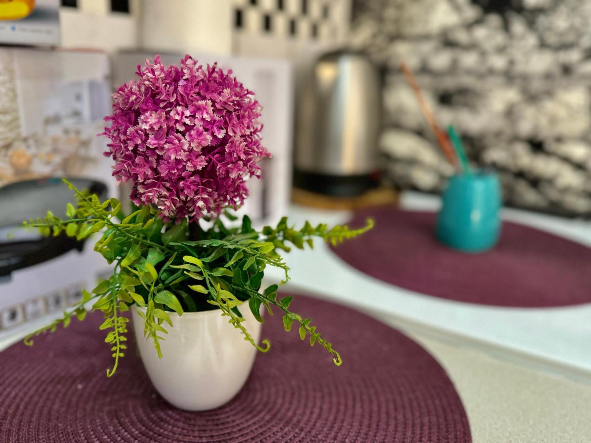 Aparthotel Maxim Kotor Ngoại thất bức ảnh